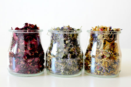 Referencement pour sophrologue - Comment se faire connaître comme naturopathe dans Google